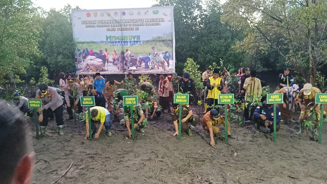 Pohon Mangrove