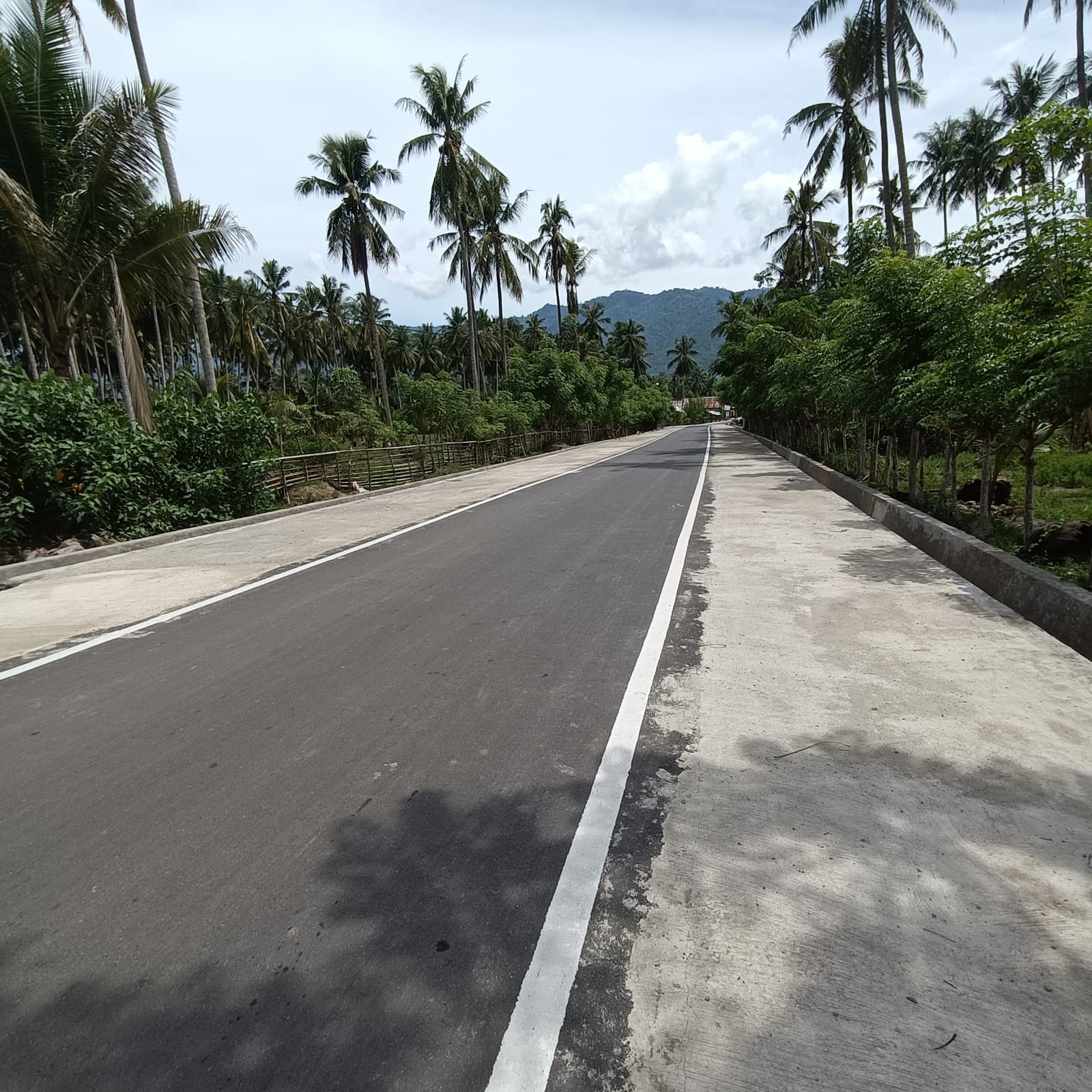 Pelaksanaan Inpres Jalan Daerah Sibalaya Poi Dukung Kawasan Penyanggah Pangan di Sigi