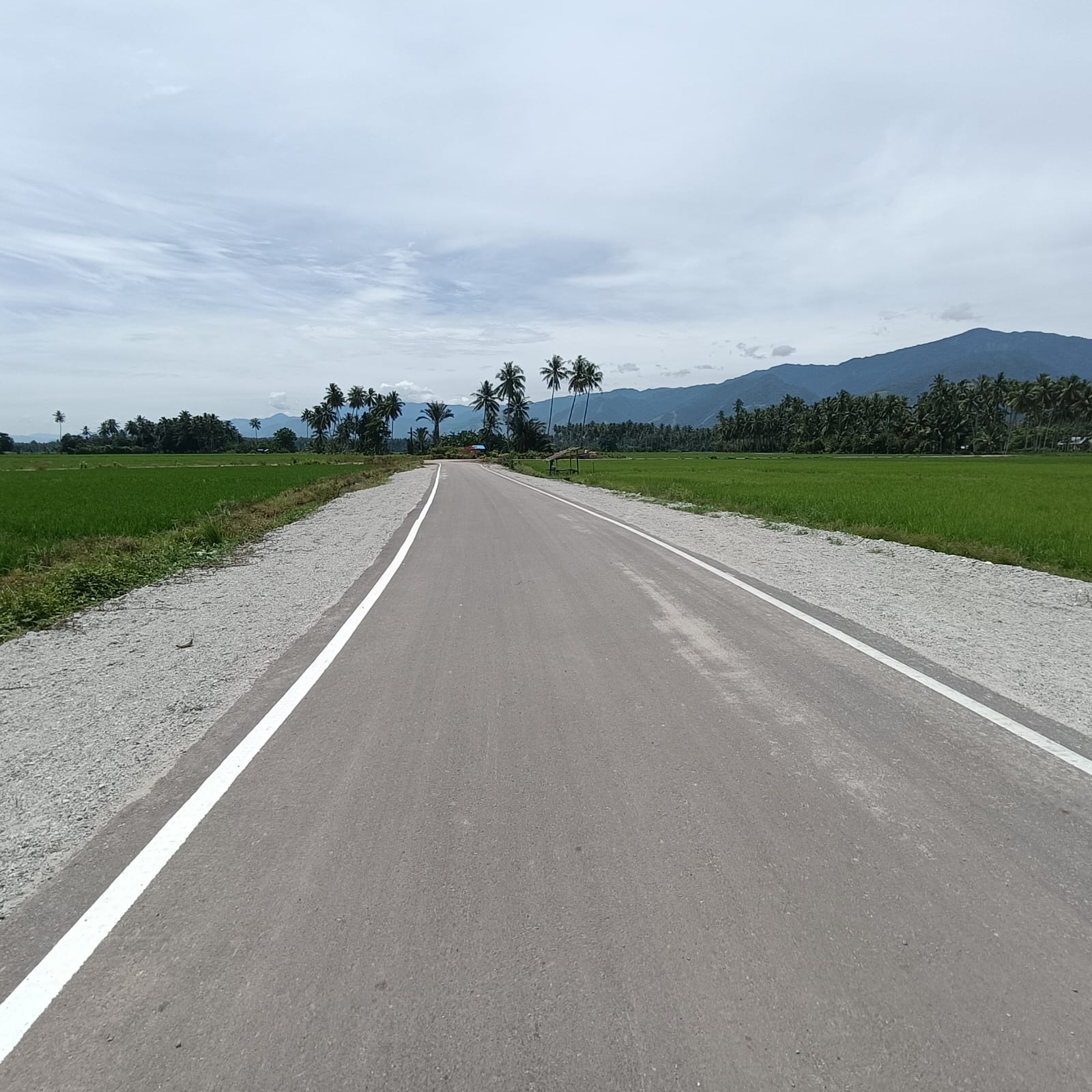 Pelaksanaan Inpres Jalan Daerah Sibalaya Poi Dukung Kawasan Penyanggah Pangan di Sigi