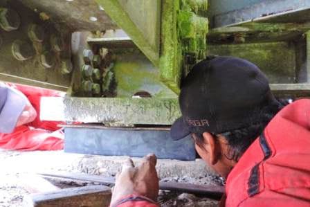 Bearing Pad Jembatan