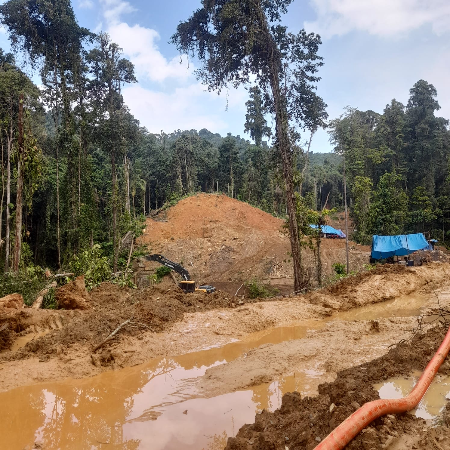 4 Penambang Emas Tewas Tertimbun Longsor di Poso